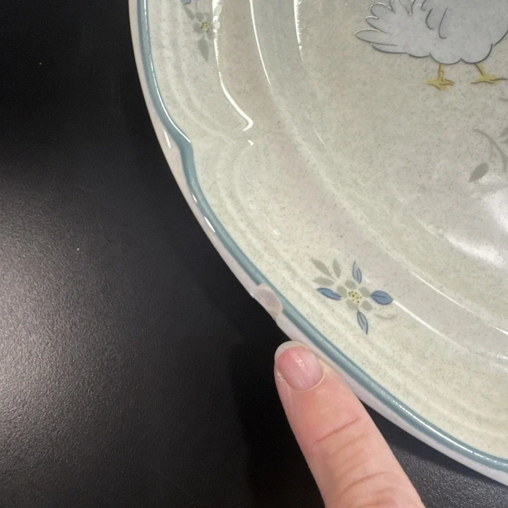 Chipped ! VTG International China Marmalade Stoneware Dinner Plate Geese Apple